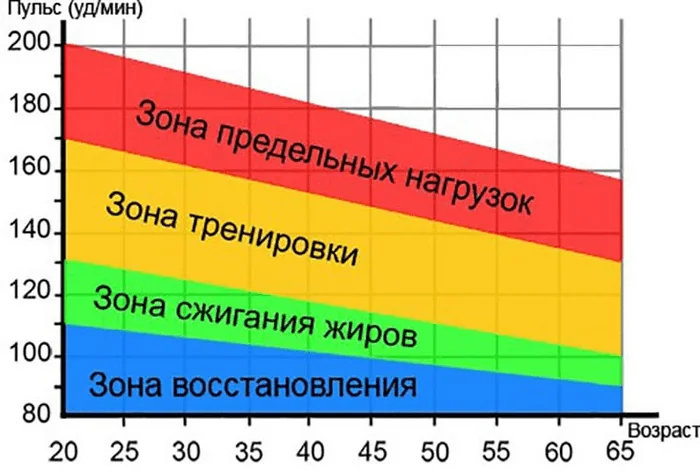 Диаграмма пульсовых зон, которую разбирает автор