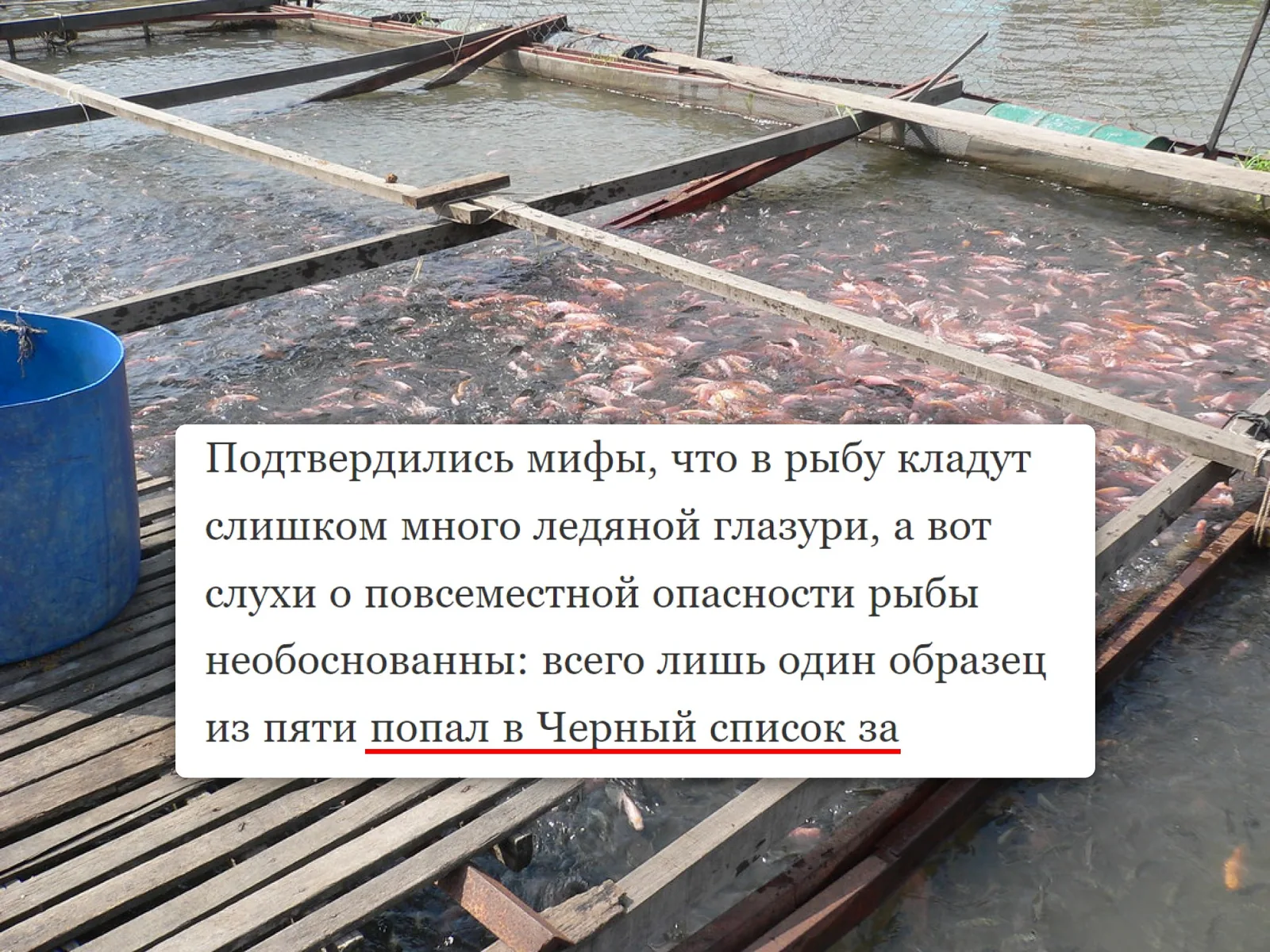 Результат проверки: избыток глазури и один образец в черном списке