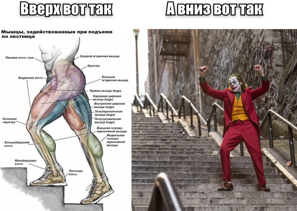 Подъем по лестнице и спуск: мышцы и Джокер