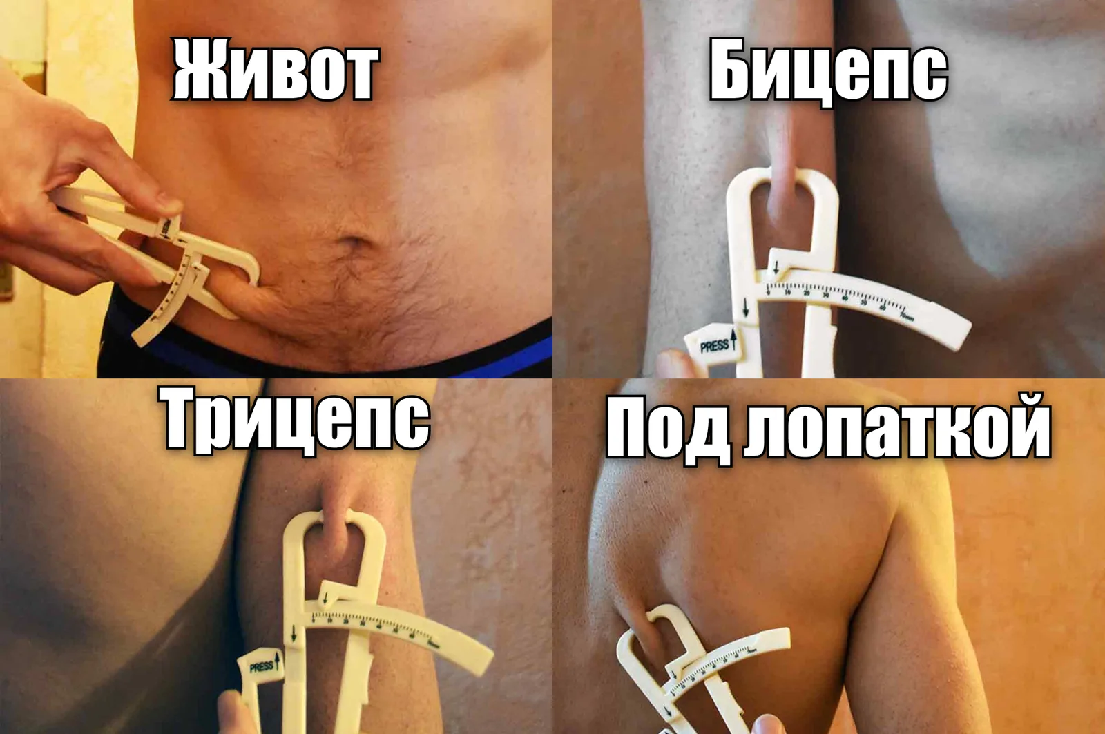 Иллюстрация к материалу «Измеряем вашу жирность»