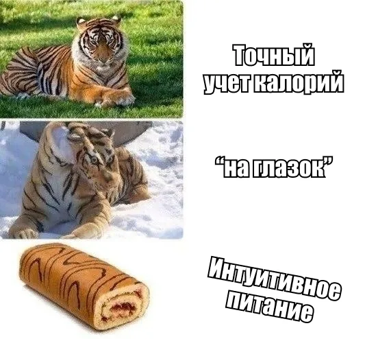Иллюстрация к статье «Интуитивное питание — вы всё неправильно поняли»